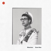 Bleachers - I Miss Those Days