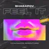 Feel It (Abriviatura IV Remix) song lyrics