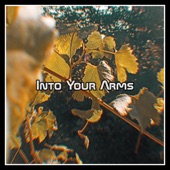 Into Your Arms artwork