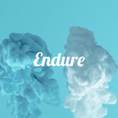 Endure artwork