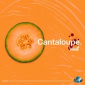 Cantaloupe artwork