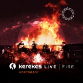 FIRE (Live at Hortobágy) artwork