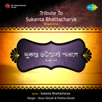 Various Artists - Tribute To Sukanta Bhattacharya artwork