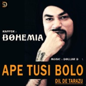 Ape Tusi Bolo (Dil De Tarazu) [feat. Dollar D] artwork