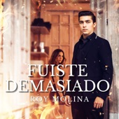 Fuiste Demasiado artwork