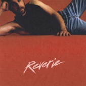 Reverie artwork