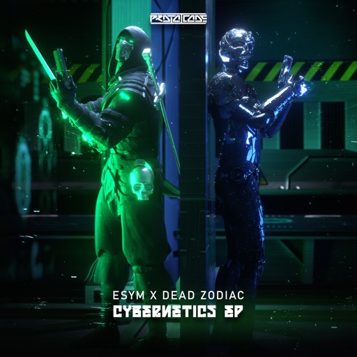 Cybernetics - Single by Esym, Dead Zodiac