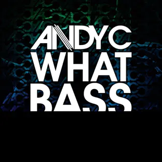 What Bass - Single by Andy C album reviews, ratings, credits