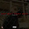 See Why They Mad - Single album lyrics, reviews, download