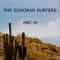 Abec 48 - The Sonoran Surfers lyrics