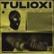 Another Gang of Desperates (Roe Deers Remix) - Tulioxi lyrics