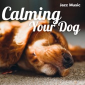 Calming Your Dog with Jazz Music artwork