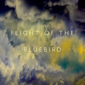 Flight of the Bluebird artwork