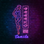 Camila artwork