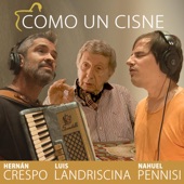 Como un Cisne (feat. Nahuel Pennisi) artwork