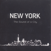 New York "the Sound of a City" - Hazmat Modine