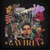 Gaviria album lyrics, reviews, download