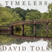 Timeless (feat. Steven Sharp Nelson) artwork