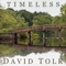 Timeless (feat. Steven Sharp Nelson) artwork