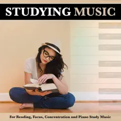 Ambient Music For Studying Song Lyrics