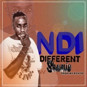 Ndi Different artwork