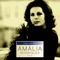 Meu Amor, Meu Amor (Meu Limão de Amargura) - Amália Rodrigues lyrics
