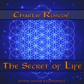 The Secret of Life artwork