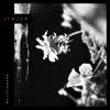 Jinjer - Wallflower
