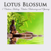 Lotus Blossom: 7 Chakras Healing, Chakra Balancing and Opening - Shakuhachi Sakano