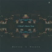 I Don't Hate You artwork