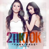 Yank Haus by 2TikTok - cover art