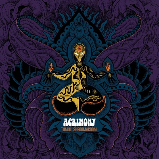 Cover artwork for Vy