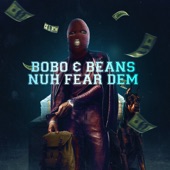 Nuh Fear Dem artwork