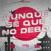 Aunque Se Que No Debo (Remix) song lyrics