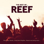 Reef - Naked