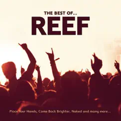 Reef: The Best Of by Reef album reviews, ratings, credits