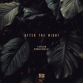 After the Night artwork