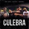 Culebra (feat. Papi copa, Uzzyan & Youngwil RD) - 2gold lyrics