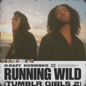 Running Wild (Tumblr Girls 2) [feat. Kossisko] artwork