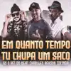 Em Quanto Tempo Tu Chupa um Saco (Piseiro Remix) - Single album lyrics, reviews, download