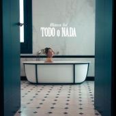 Todo o Nada artwork