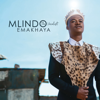 Mlindo The Vocalist - Egoli (feat. Sjava) artwork