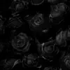 Black Rose 2 - EP album lyrics, reviews, download