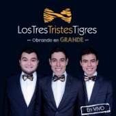 Los Tres Tristes Tigres - Mi Casa Nueva Adaptación "Mi Cuenta Nueva"