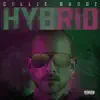 Hybrid album lyrics, reviews, download
