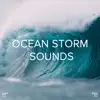 !!!" Ocean Storm Sounds "!!! album lyrics, reviews, download