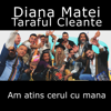 Am Atins Cerul Cu Mana (feat. Taraful Cleante) - Diana Matei