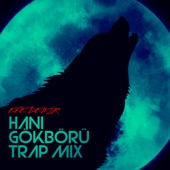 Hani Gökbörü (Trap mix) artwork