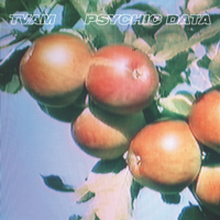 TVAM - Psychic Data artwork