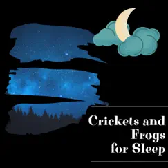 Crickets and Frogs for Sleep by Night Sounds Channel, Frog Sounds Channel & Night Nature Sounds album reviews, ratings, credits